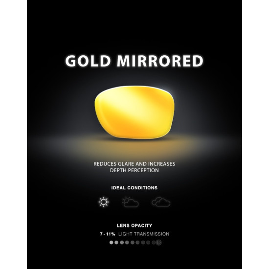 Сонцезахисні окуляри TYR Goldenwest XL Aviator HTS
