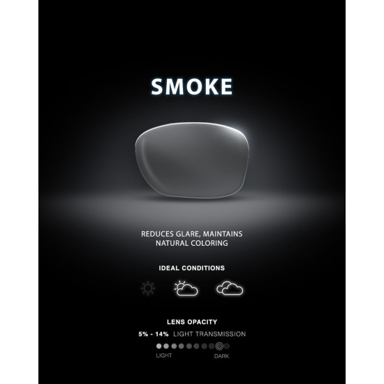 Сонцезахисні окуляри TYR Goldenwest XL Aviator HTS